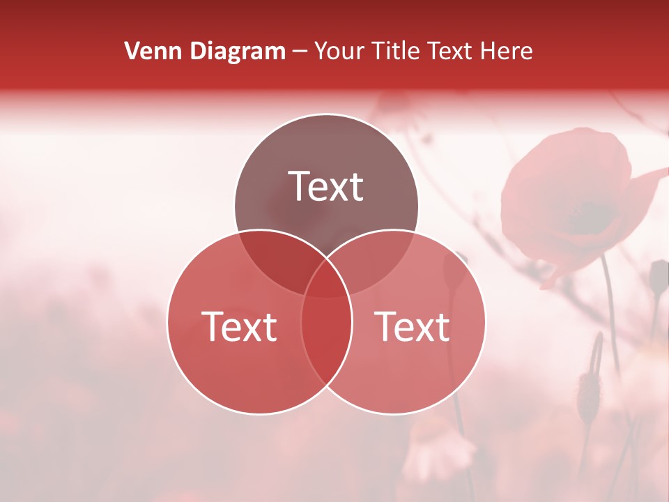 Poppy Field PowerPoint Template