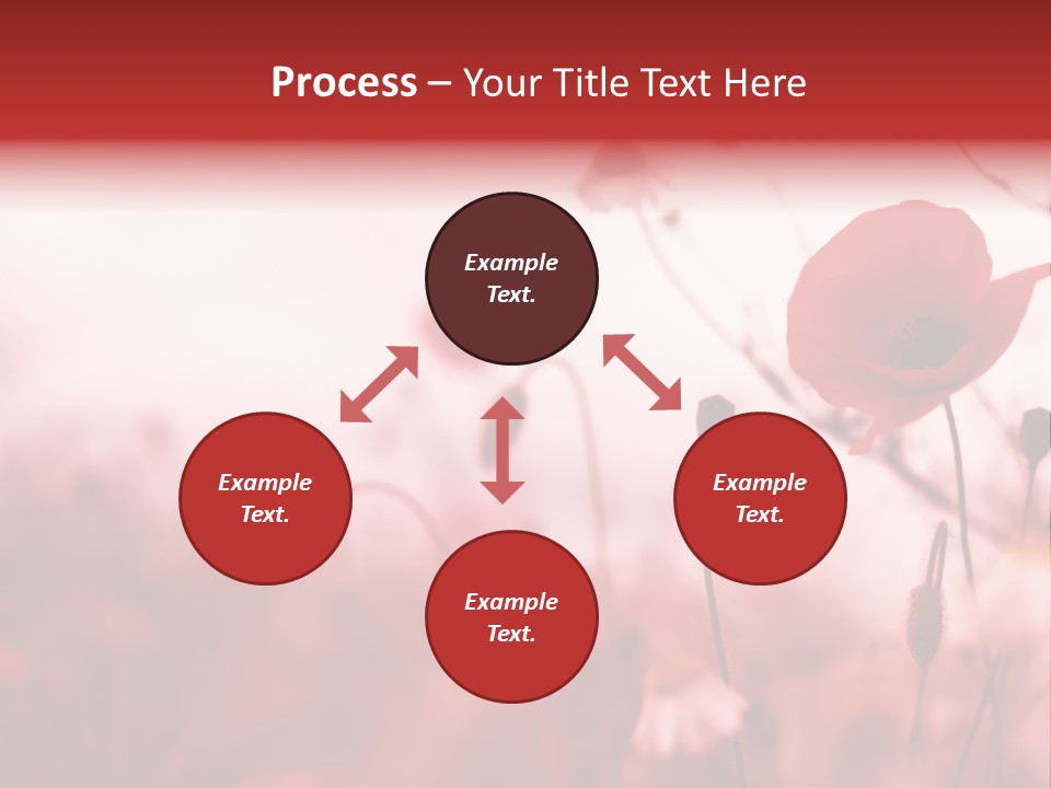 Poppy Field PowerPoint Template