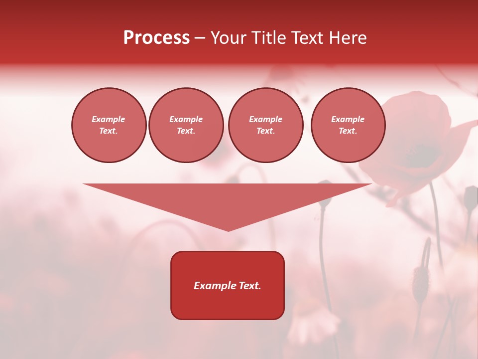 Poppy Field PowerPoint Template