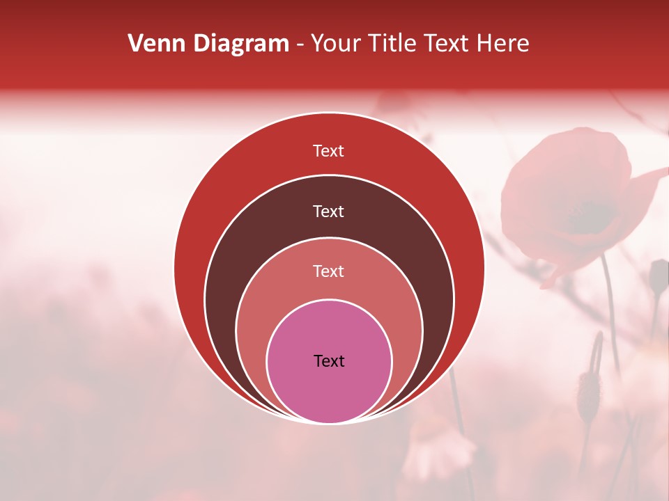 Poppy Field PowerPoint Template