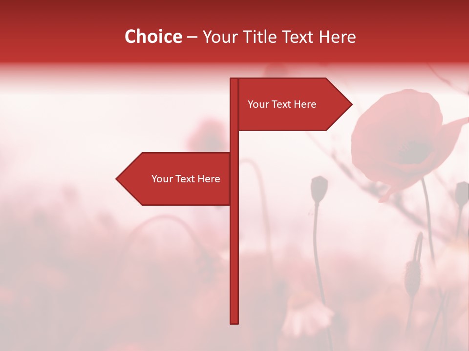Poppy Field PowerPoint Template