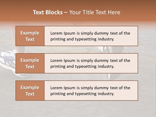 Feet Of A Running Woman PowerPoint Template