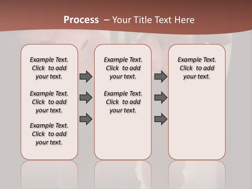 The Nail Scared Hands Of Jesus PowerPoint Template
