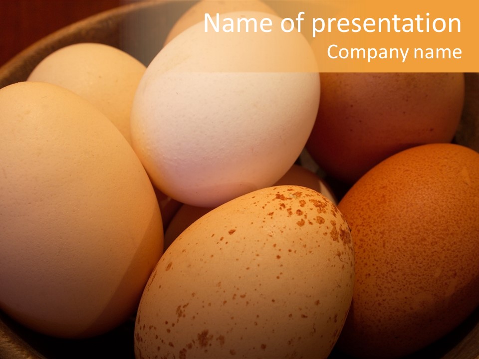 Organically Produced Free Range Eggs Showing Diversity And Variety PowerPoint Template