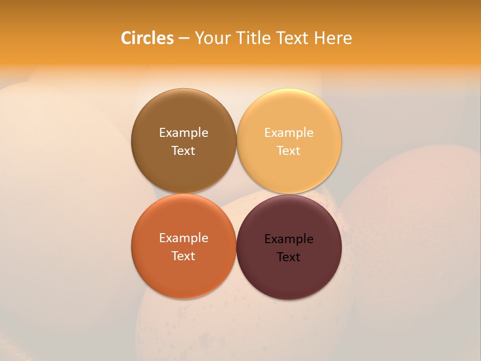 Organically Produced Free Range Eggs Showing Diversity And Variety PowerPoint Template