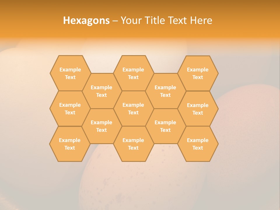 Organically Produced Free Range Eggs Showing Diversity And Variety PowerPoint Template