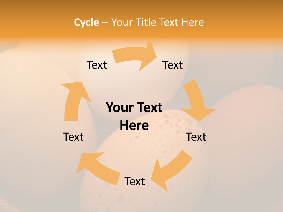 Organically Produced Free Range Eggs Showing Diversity And Variety PowerPoint Template