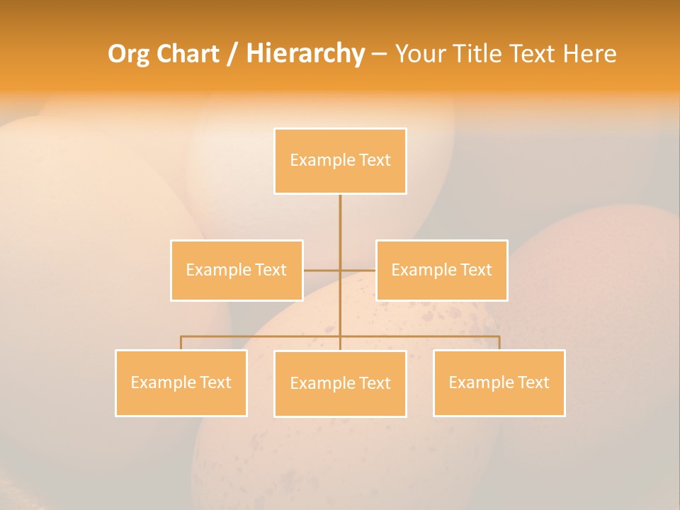 Organically Produced Free Range Eggs Showing Diversity And Variety PowerPoint Template