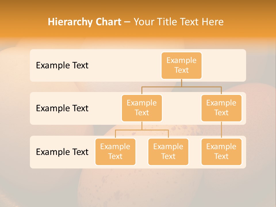 Organically Produced Free Range Eggs Showing Diversity And Variety PowerPoint Template