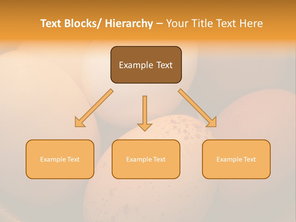 Organically Produced Free Range Eggs Showing Diversity And Variety PowerPoint Template