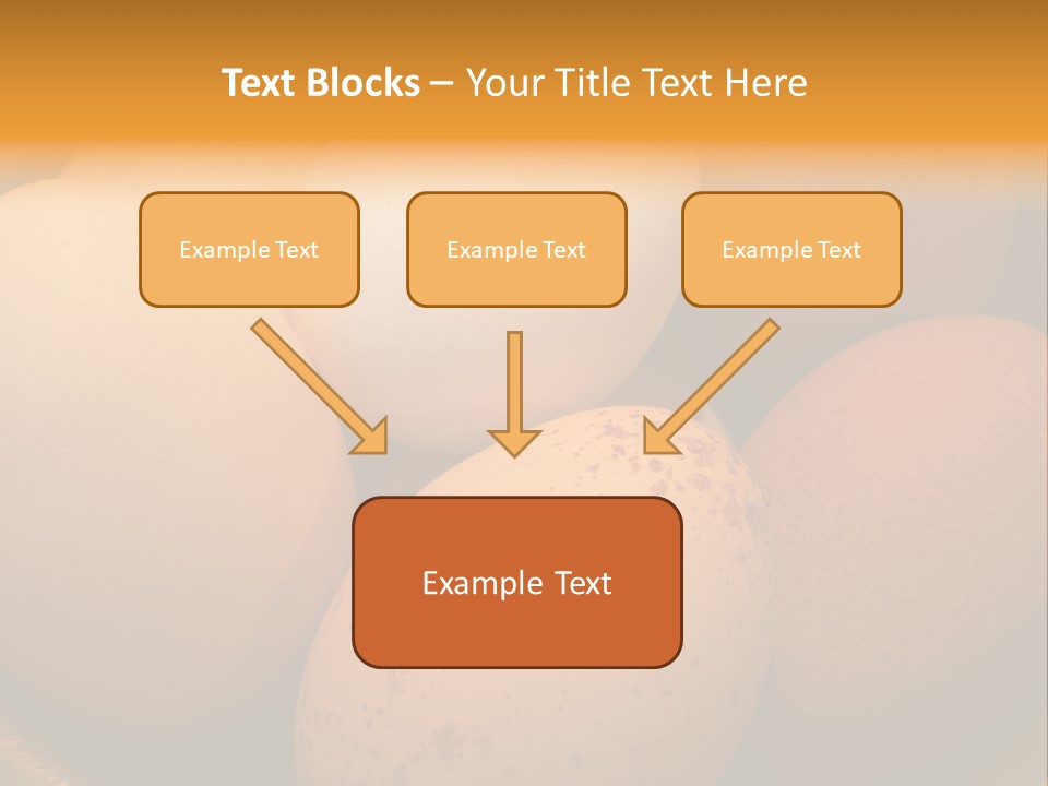 Organically Produced Free Range Eggs Showing Diversity And Variety PowerPoint Template