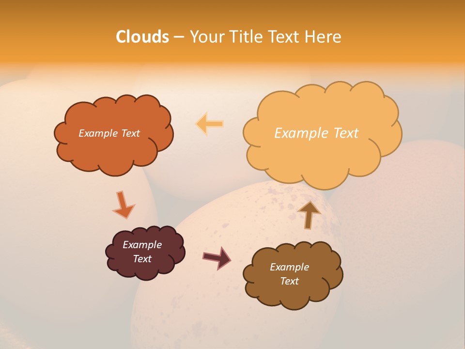 Organically Produced Free Range Eggs Showing Diversity And Variety PowerPoint Template
