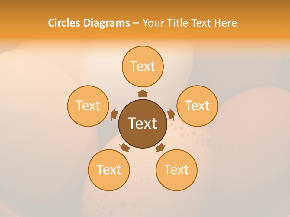 Organically Produced Free Range Eggs Showing Diversity And Variety PowerPoint Template