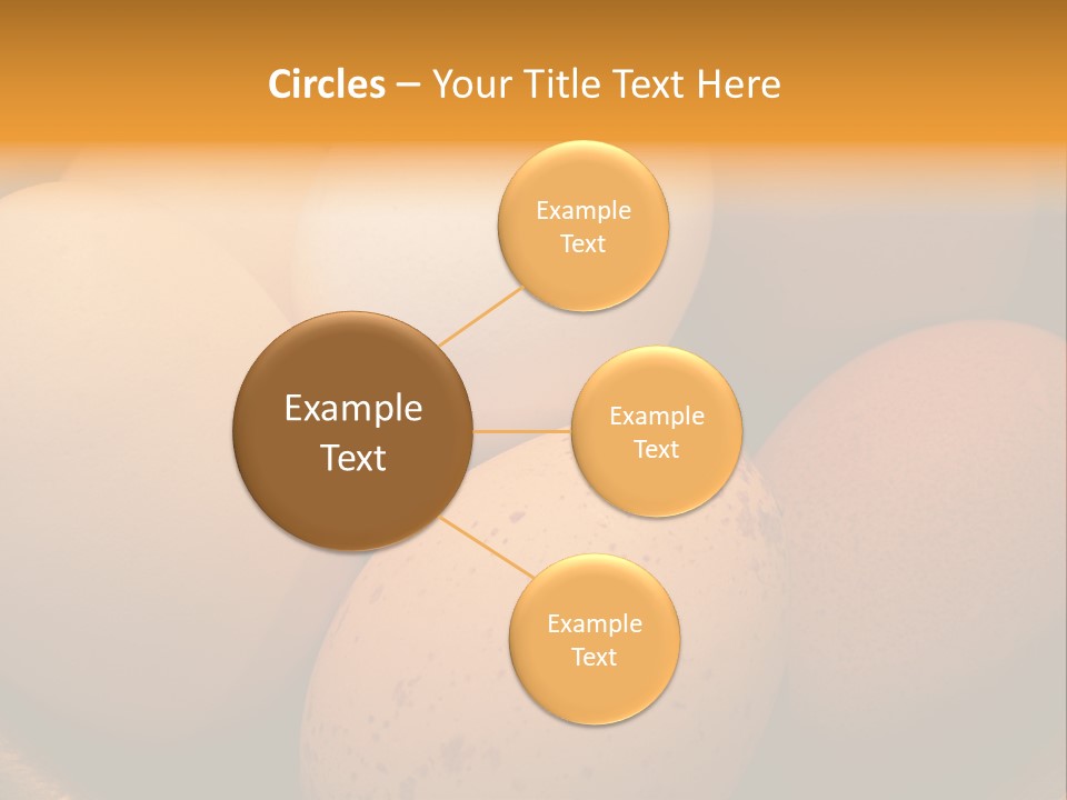 Organically Produced Free Range Eggs Showing Diversity And Variety PowerPoint Template