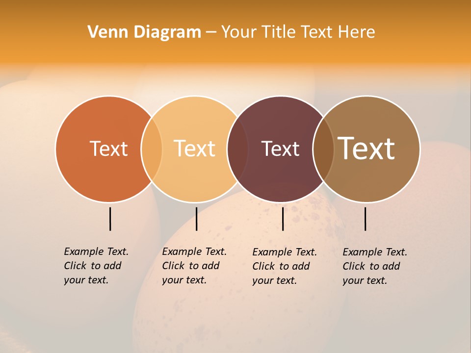 Organically Produced Free Range Eggs Showing Diversity And Variety PowerPoint Template