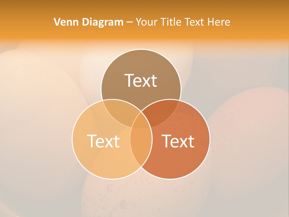 Organically Produced Free Range Eggs Showing Diversity And Variety PowerPoint Template