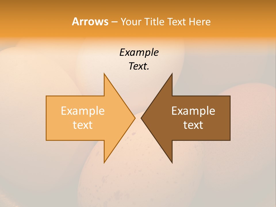 Organically Produced Free Range Eggs Showing Diversity And Variety PowerPoint Template