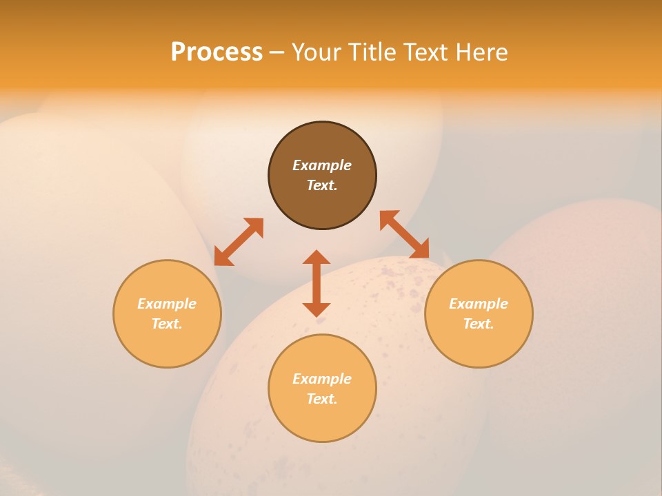 Organically Produced Free Range Eggs Showing Diversity And Variety PowerPoint Template