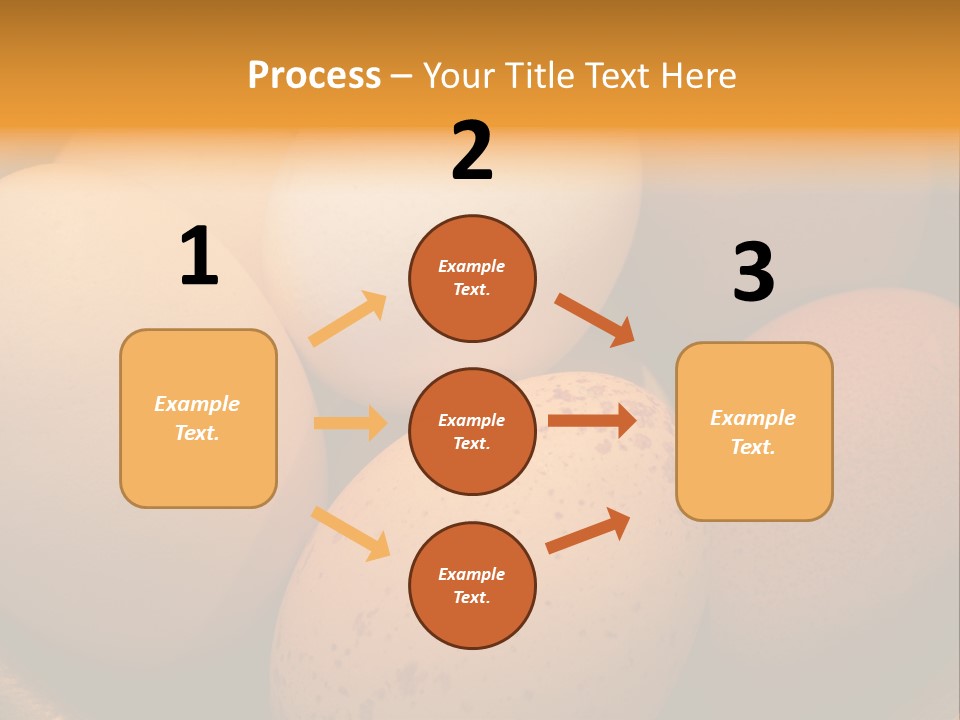 Organically Produced Free Range Eggs Showing Diversity And Variety PowerPoint Template