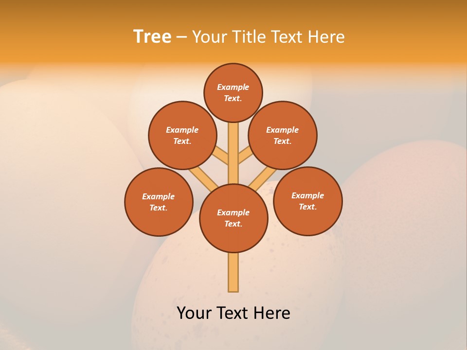 Organically Produced Free Range Eggs Showing Diversity And Variety PowerPoint Template