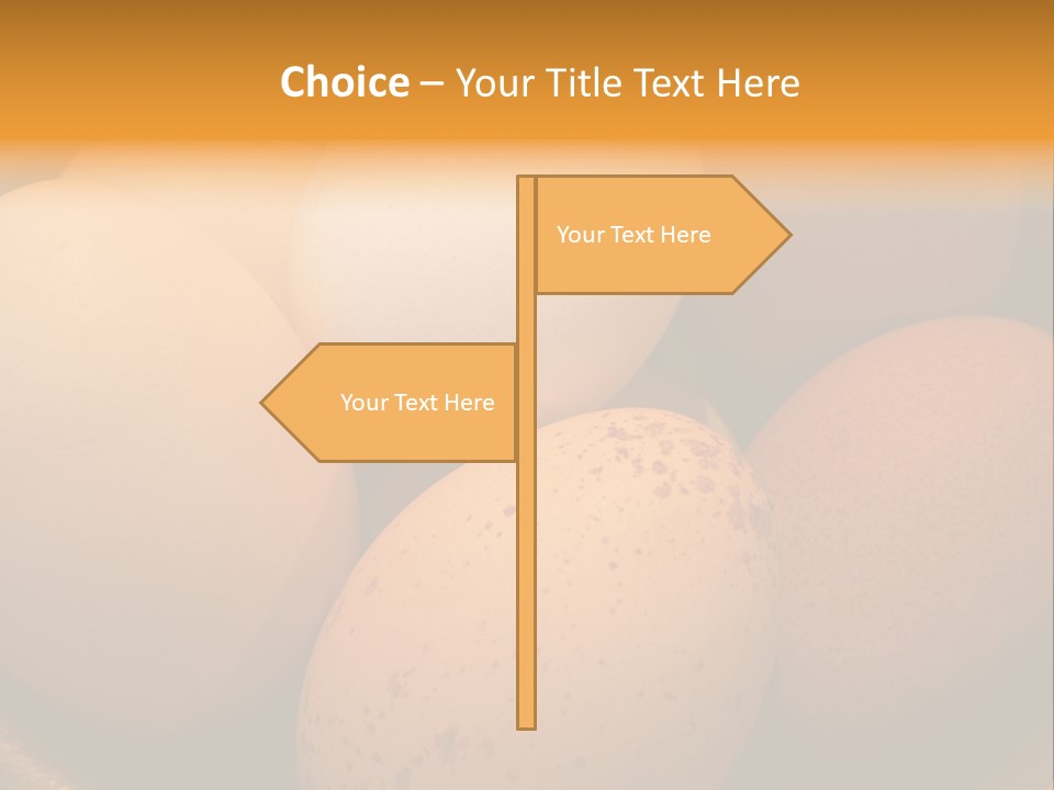 Organically Produced Free Range Eggs Showing Diversity And Variety PowerPoint Template