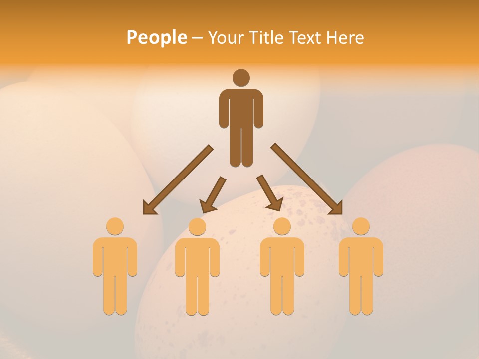 Organically Produced Free Range Eggs Showing Diversity And Variety PowerPoint Template