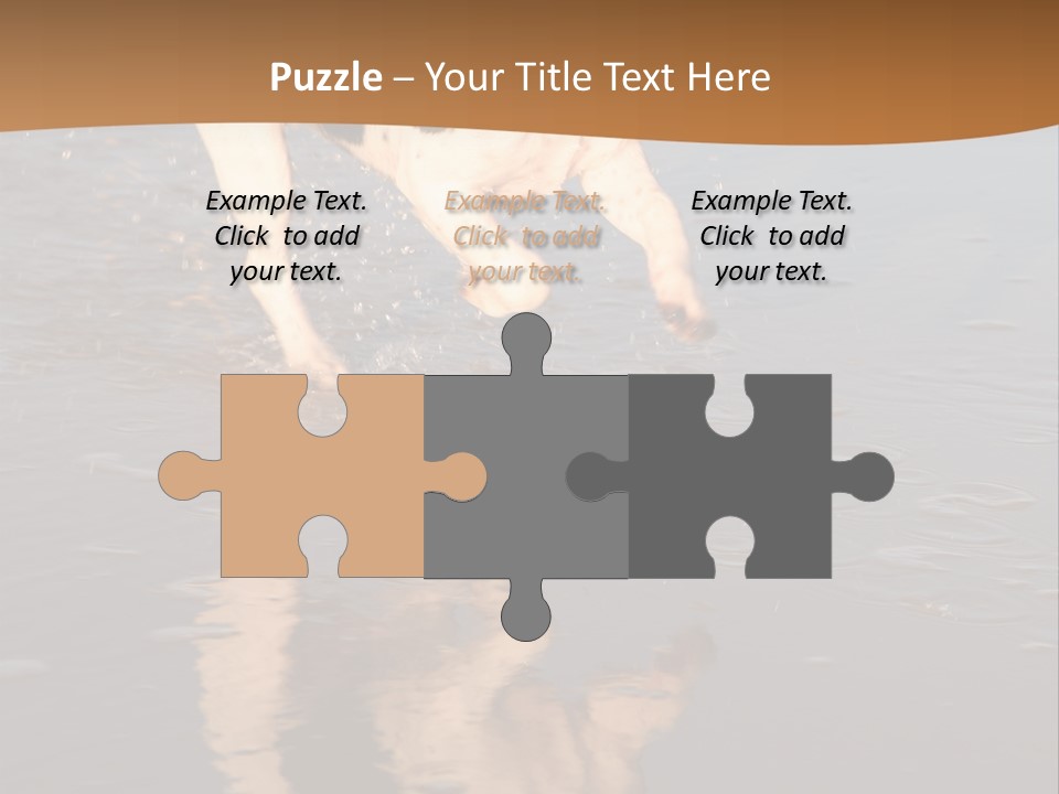 Jack Russell Terrier. Slight Motion Blur PowerPoint Template