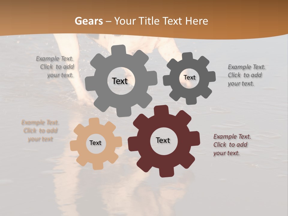 Jack Russell Terrier. Slight Motion Blur PowerPoint Template