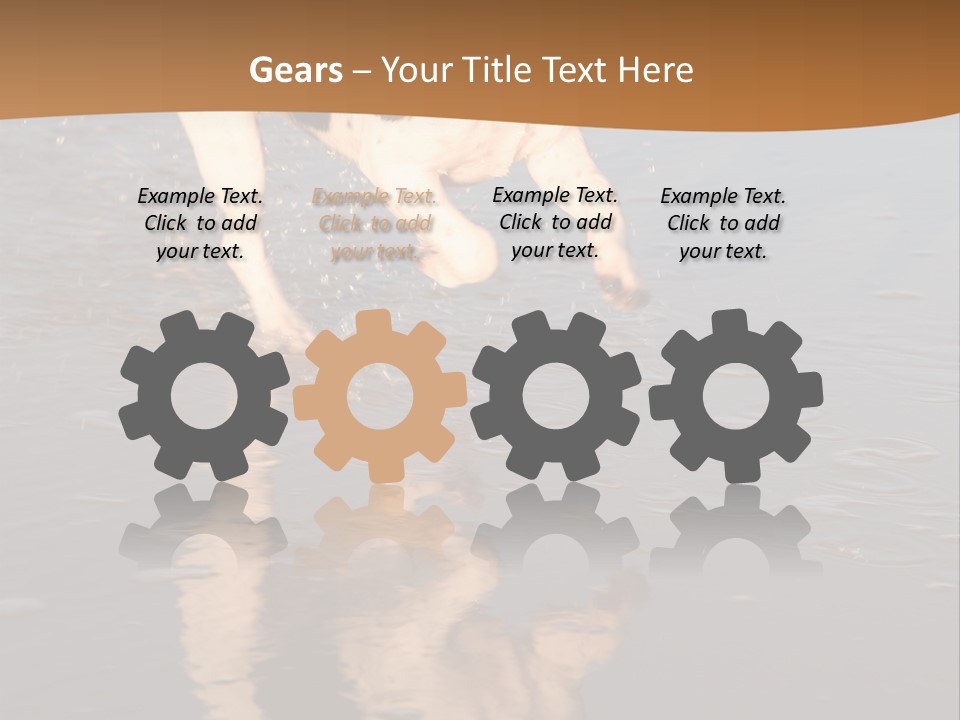 Jack Russell Terrier. Slight Motion Blur PowerPoint Template