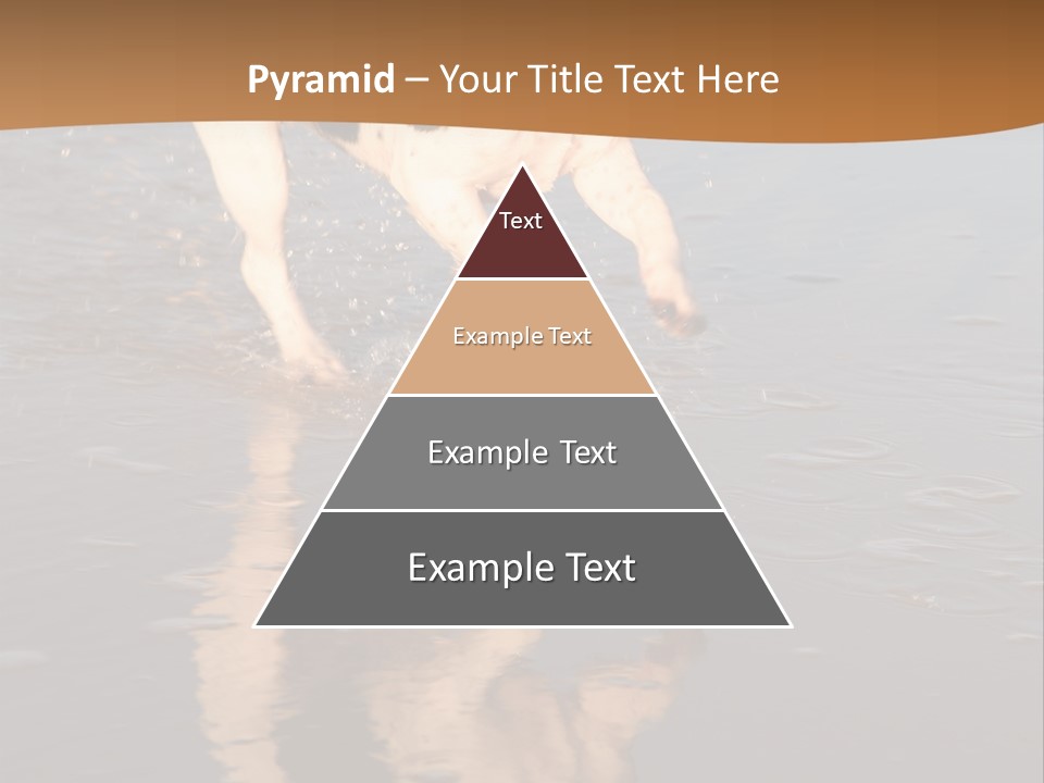 Jack Russell Terrier. Slight Motion Blur PowerPoint Template