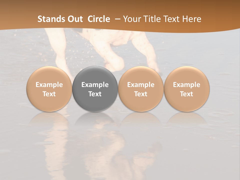 Jack Russell Terrier. Slight Motion Blur PowerPoint Template