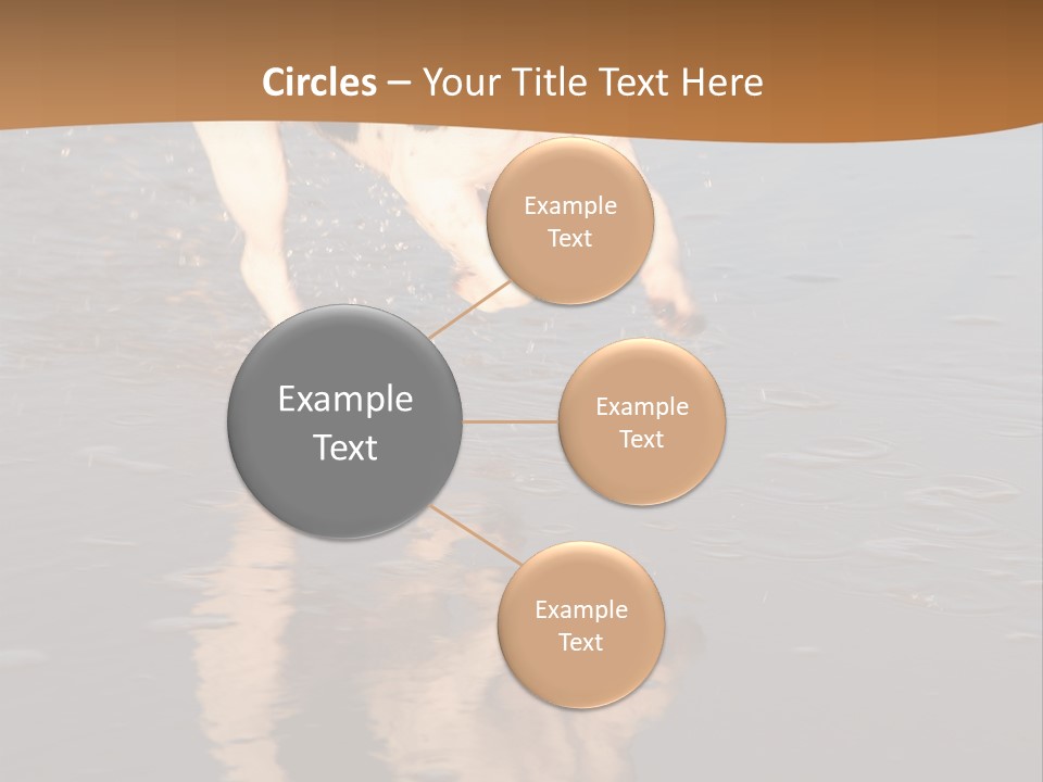 Jack Russell Terrier. Slight Motion Blur PowerPoint Template