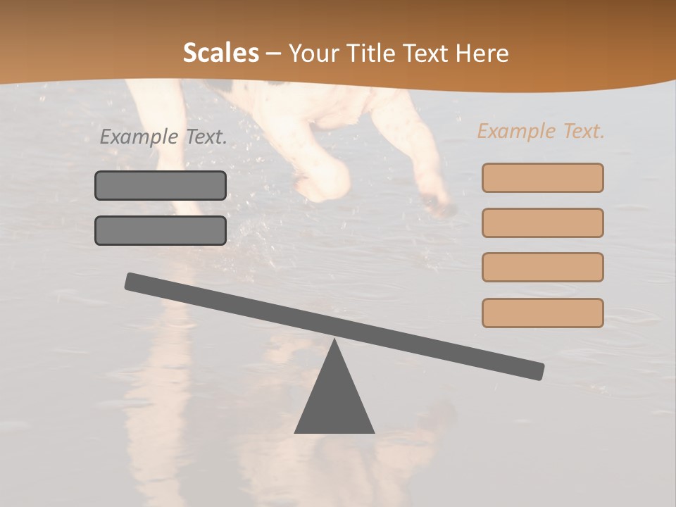 Jack Russell Terrier. Slight Motion Blur PowerPoint Template