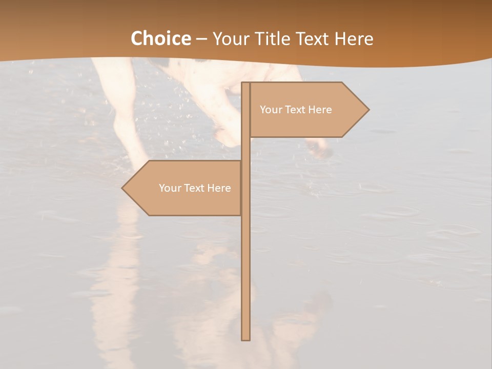 Jack Russell Terrier. Slight Motion Blur PowerPoint Template