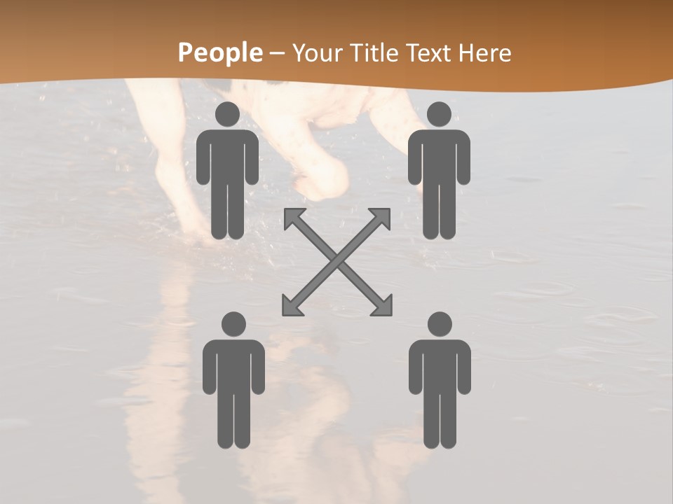 Jack Russell Terrier. Slight Motion Blur PowerPoint Template