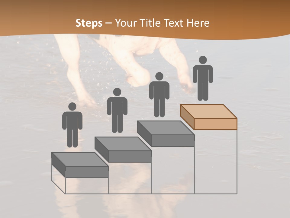 Jack Russell Terrier. Slight Motion Blur PowerPoint Template