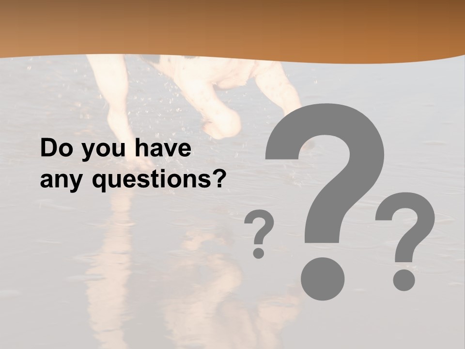 Jack Russell Terrier. Slight Motion Blur PowerPoint Template