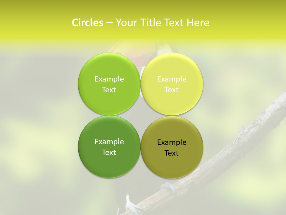 Beautiful Tucan Sitting On A Branch PowerPoint Template