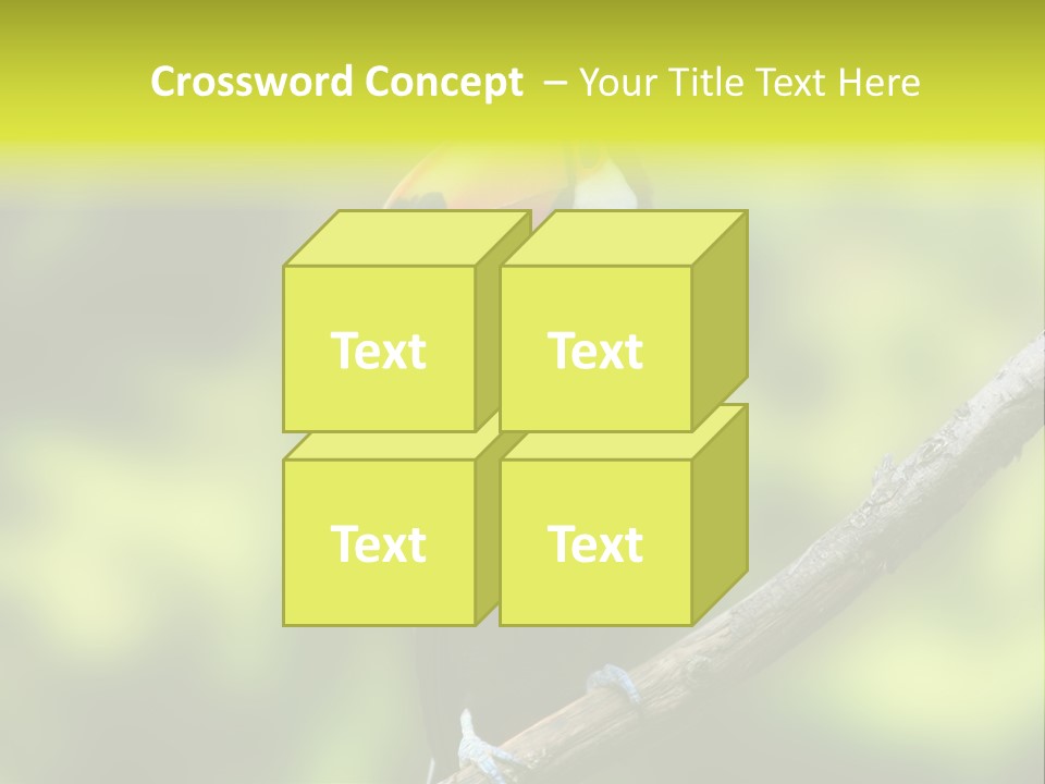 Beautiful Tucan Sitting On A Branch PowerPoint Template