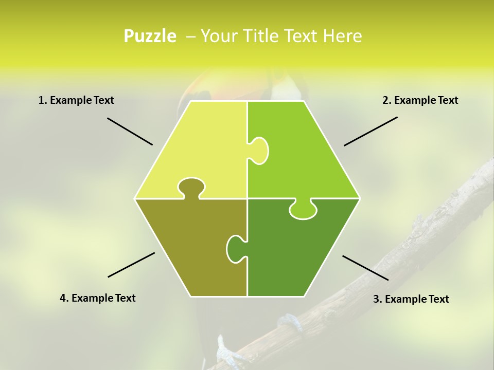 Beautiful Tucan Sitting On A Branch PowerPoint Template