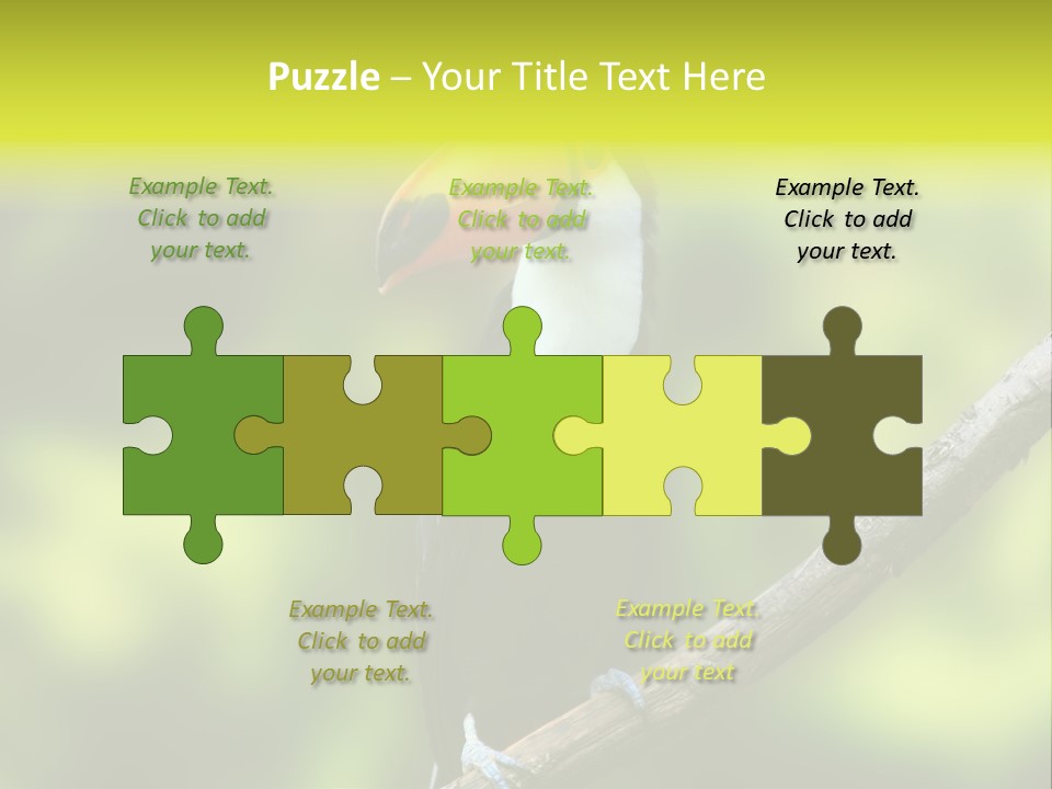 Beautiful Tucan Sitting On A Branch PowerPoint Template