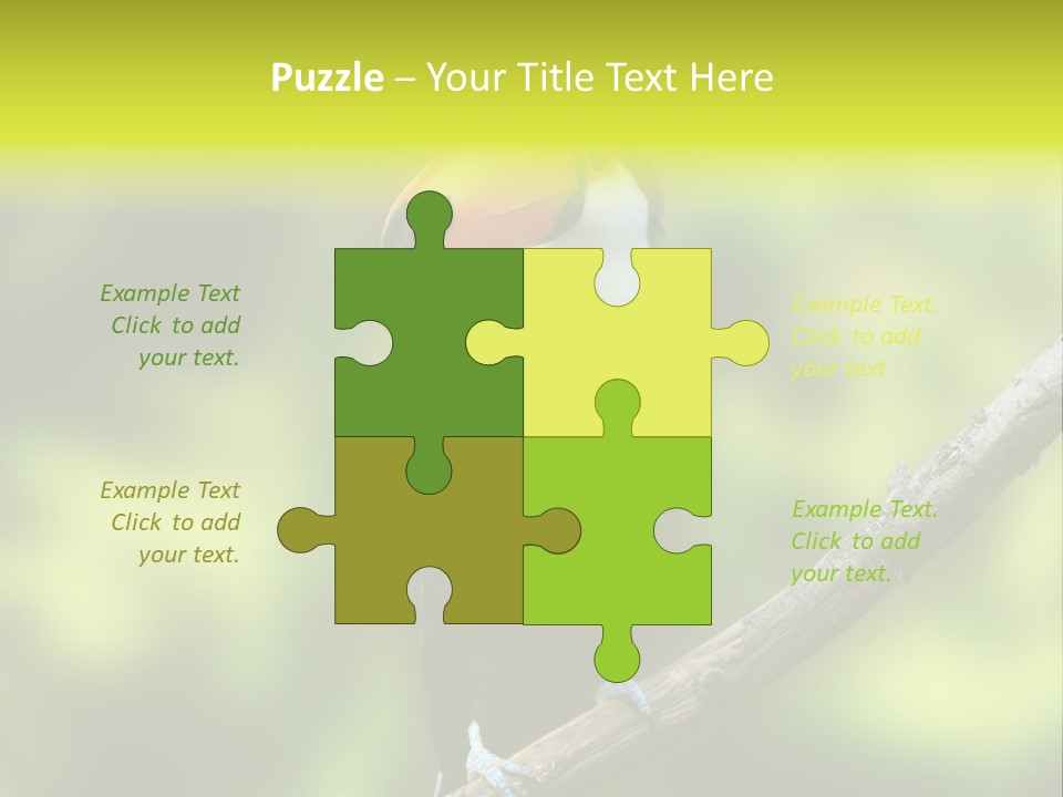 Beautiful Tucan Sitting On A Branch PowerPoint Template