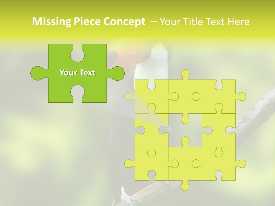 Beautiful Tucan Sitting On A Branch PowerPoint Template