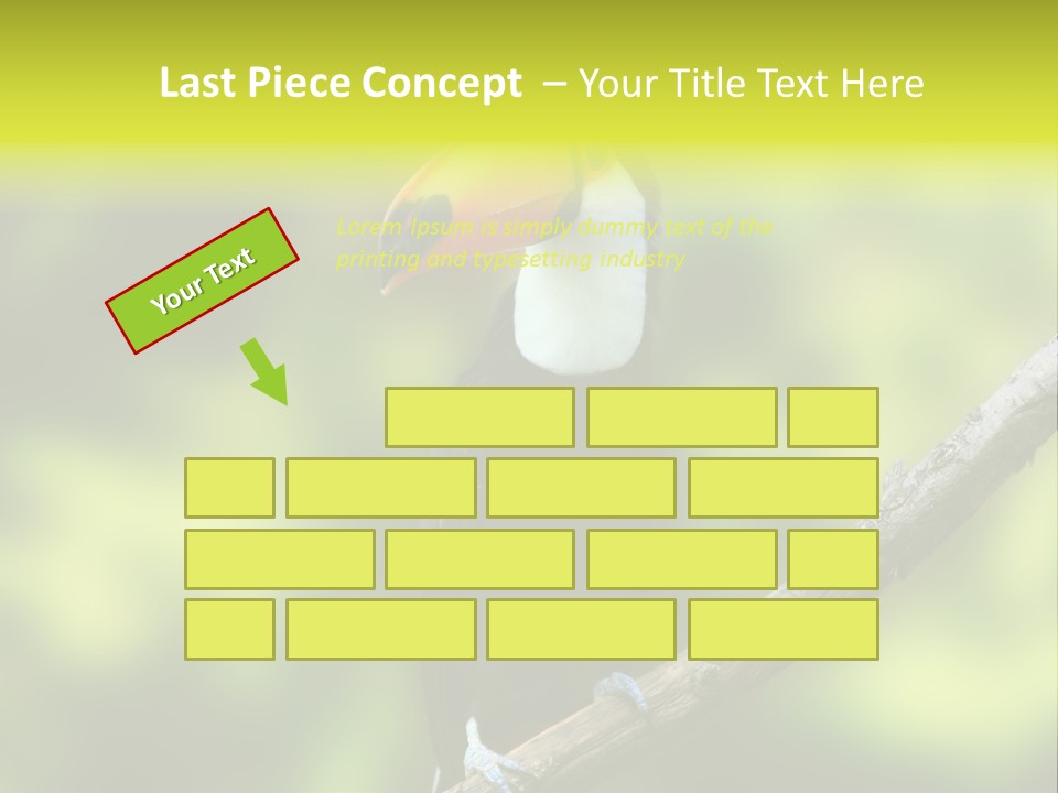 Beautiful Tucan Sitting On A Branch PowerPoint Template