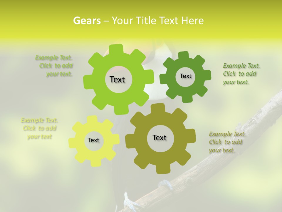 Beautiful Tucan Sitting On A Branch PowerPoint Template