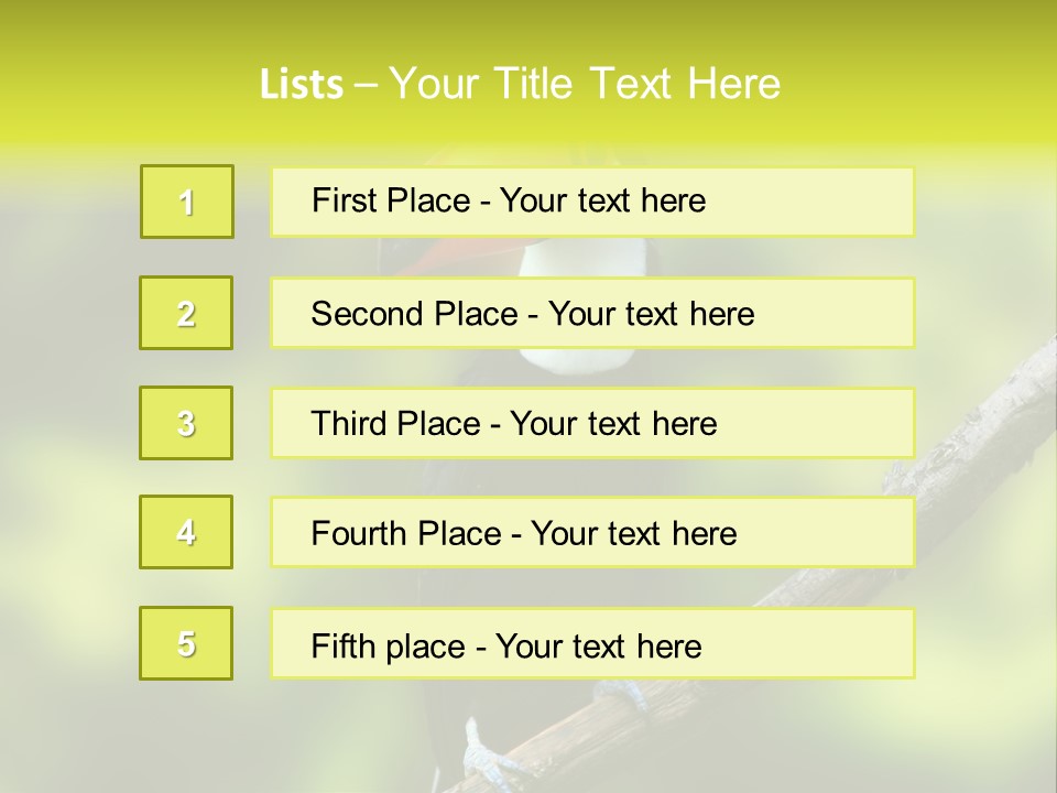 Beautiful Tucan Sitting On A Branch PowerPoint Template