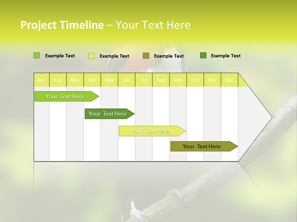 Beautiful Tucan Sitting On A Branch PowerPoint Template