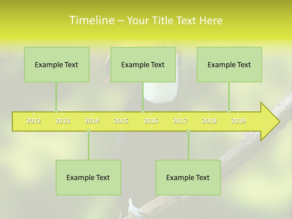 Beautiful Tucan Sitting On A Branch PowerPoint Template