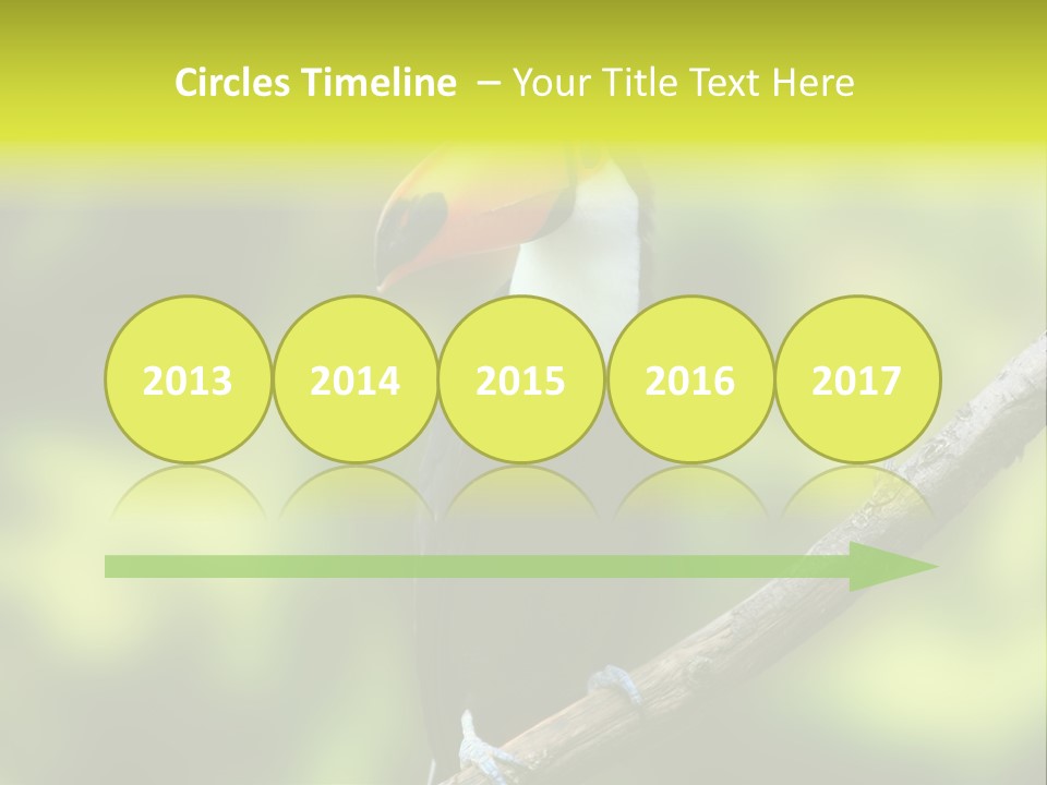 Beautiful Tucan Sitting On A Branch PowerPoint Template