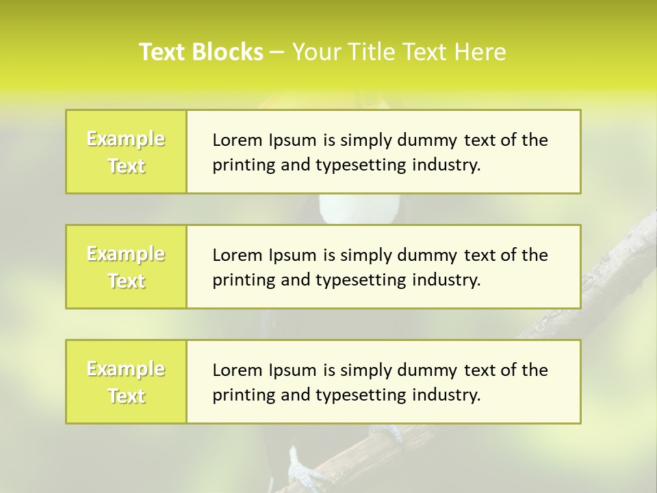 Beautiful Tucan Sitting On A Branch PowerPoint Template
